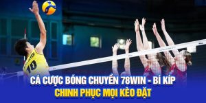 Cá Cược Bóng Chuyền 78Win - Bí Kíp Chinh Phục Mọi Kèo Đặt