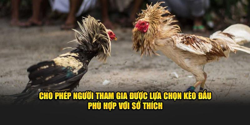 Cho phép người tham gia được lựa chọn kèo đấu phù hợp với sở thích